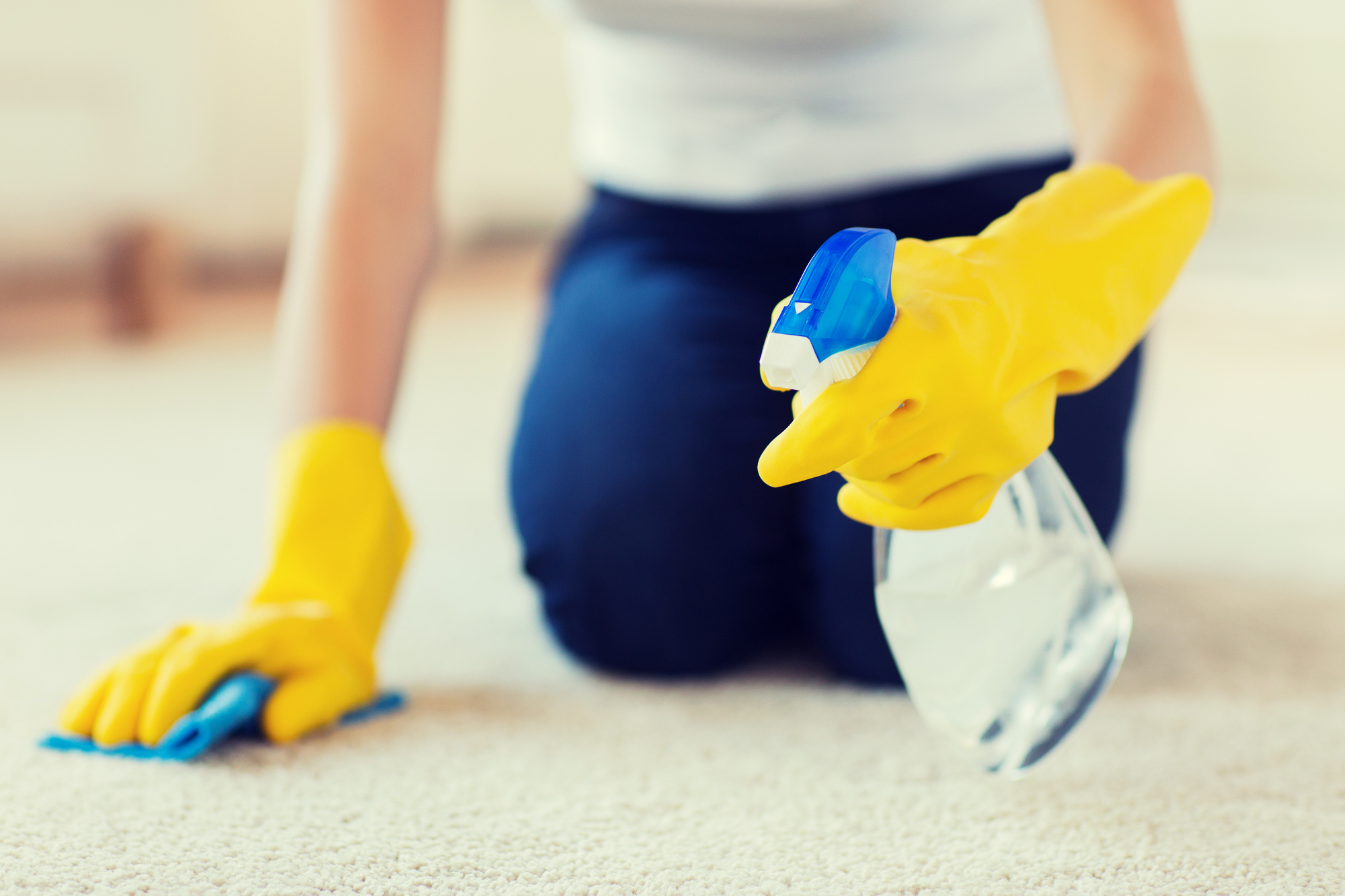 Carpet Sanitizing & Deodorizing