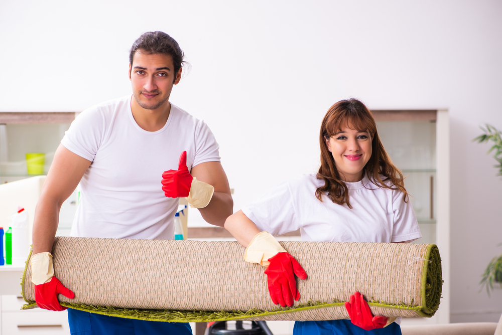 Move-In / Move-Out Cleaning