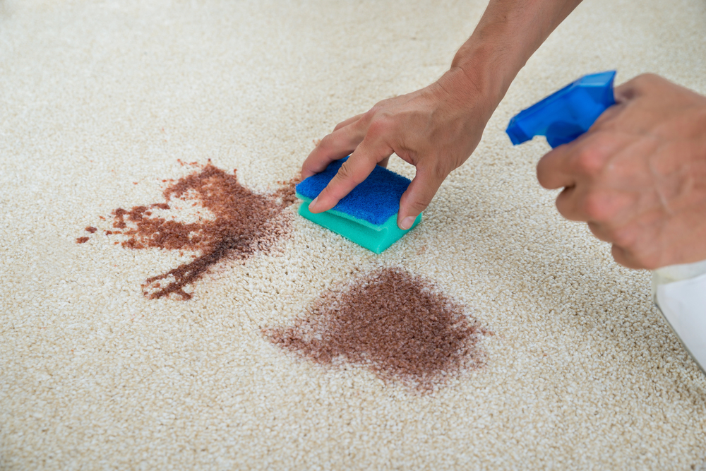 Stain Removal Service Point Lookout